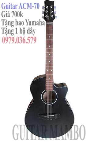 Mua đàn guitar giá rẻ TP. HCM