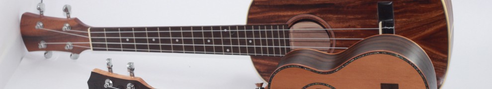 mối nguy hại đàn ukulele giá rẻ
